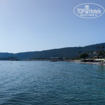 фото из отзыва ID 2630583