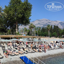 фото из отзыва ID 2630583