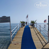 фото из отзыва ID 2630583