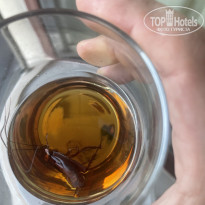 фото из отзыва ID 2630620