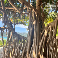 фото из отзыва ID 2630850