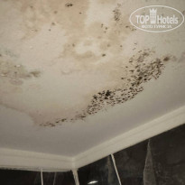 фото из отзыва ID 2631072