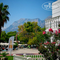 фото из отзыва ID 2631119