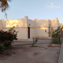 фото из отзыва ID 2631152