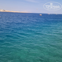 фото из отзыва ID 2631453