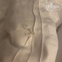 фото из отзыва ID 2631789