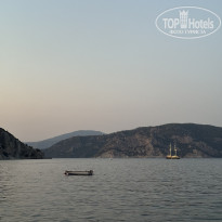 фото из отзыва ID 2631898