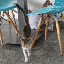 фото из отзыва ID 2631942