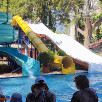 фото из отзыва ID 2631617