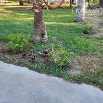 фото из отзыва ID 2631948