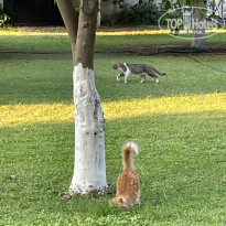 фото из отзыва ID 2632015