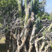 фото из отзыва ID 2632043