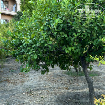 фото из отзыва ID 2632338