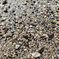 фото из отзыва ID 2632499