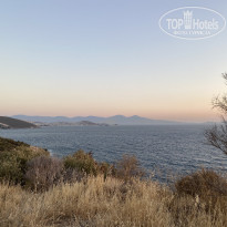 фото из отзыва ID 2632646