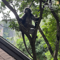 фото из отзыва ID 2632888