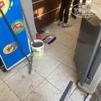 фото из отзыва ID 2633003