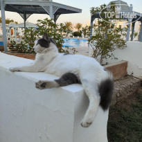 фото из отзыва ID 2633034