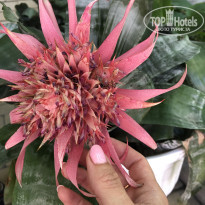 фото из отзыва ID 2633100