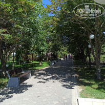 фото из отзыва ID 2633111