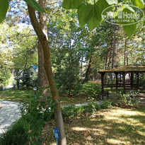 фото из отзыва ID 2633111