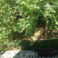 фото из отзыва ID 2633111