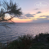 фото из отзыва ID 2633111