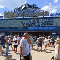 фото из отзыва ID 2633111