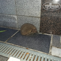 фото из отзыва ID 2633111