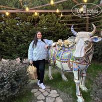 фото из отзыва ID 2633161