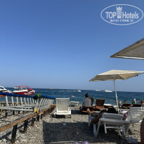 фото из отзыва ID 2633166