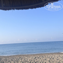 фото из отзыва ID 2633229