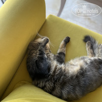 фото из отзыва ID 2633206