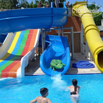 фото из отзыва ID 2633254