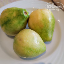 фото из отзыва ID 2633381