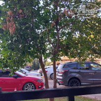 фото из отзыва ID 2633435