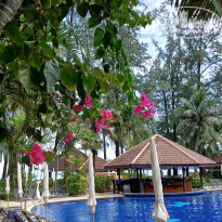 фото из отзыва ID 2633655