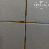 фото из отзыва ID 2633754