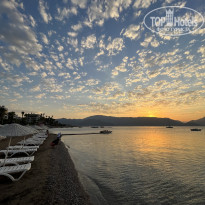 фото из отзыва ID 2633876