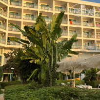 фото из отзыва ID 2633876