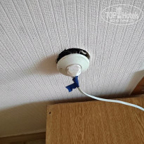 фото из отзыва ID 2633968