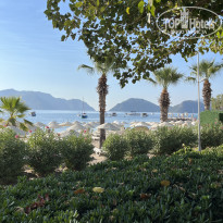 фото из отзыва ID 2633876