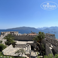 фото из отзыва ID 2633876