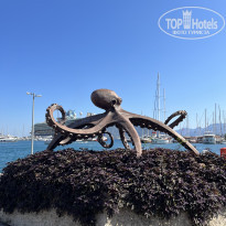 фото из отзыва ID 2633876