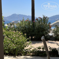 фото из отзыва ID 2633876