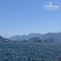 фото из отзыва ID 2633876