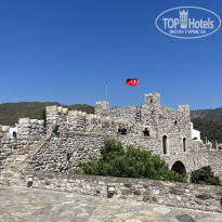 фото из отзыва ID 2633876