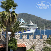 фото из отзыва ID 2633876