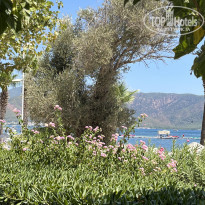 фото из отзыва ID 2633876