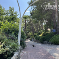 фото из отзыва ID 2633876